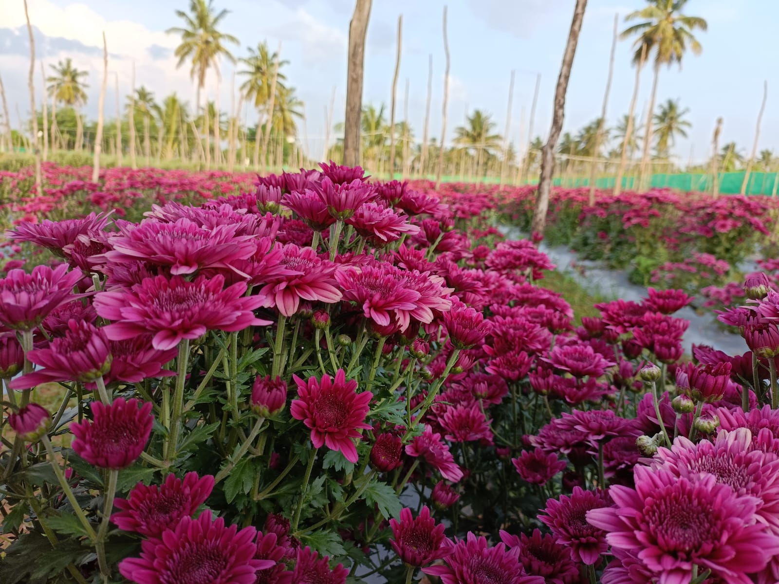 blog_img